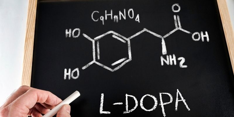 Rôle de L-Dopa